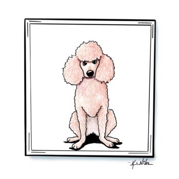 Poodle Original art drawing