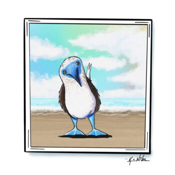 Blue Footed Booby art