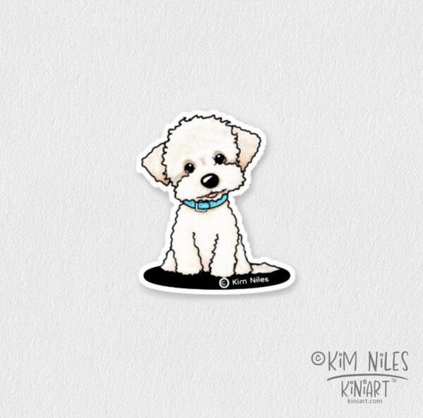 Bichon puppy