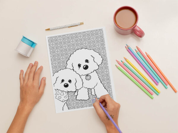 Bichon Frisé coloring page